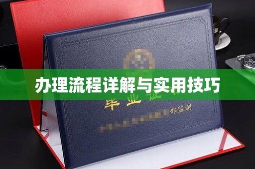 喀喇沁左翼办理流程详解与实用技巧