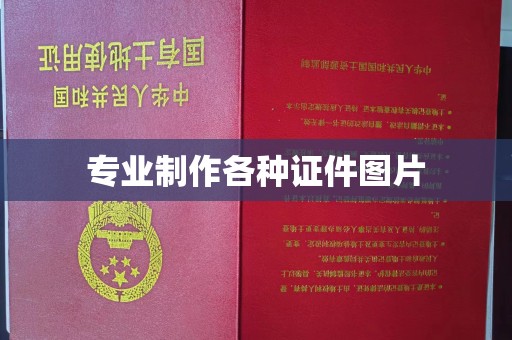 喀喇沁左翼专业制作各种证件图片